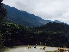 -广州市石门国家森林公园