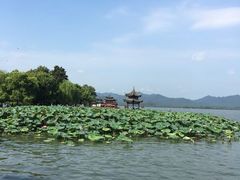 -西湖外事游船(花港观鱼码头)