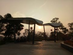 -金鸡山公园