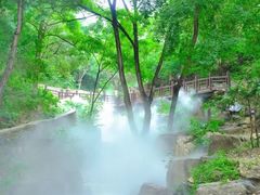 -北京西山国家森林公园