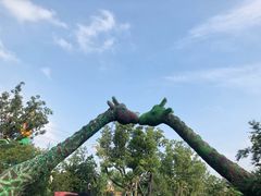 -苏州乐园森林水世界