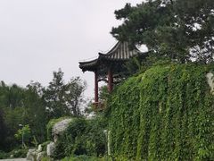 -大兴滨河森林公园