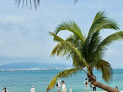 -大梅沙海滨公园