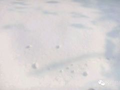 -终南山国家森林公园