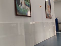 -北京赛佳动物医院