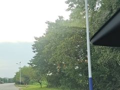 -道林古镇