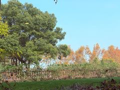 -潮府馆·非遗潮州菜·港式点心(世纪公园店)