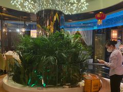 -润园四季椰子鸡火锅(海上世界店)