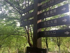 -南山植物园