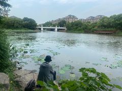-新江湾城公园