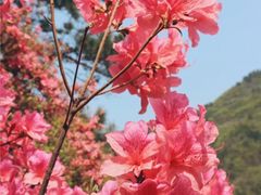 -木兰云雾山