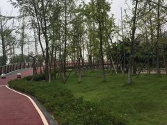 -府河摄影公园