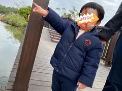 -大湾区中央湿地公园