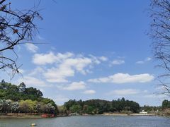 -南国桃园旅游度假区