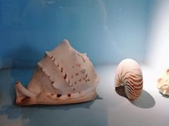 -常州海昌海洋探索馆