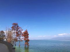 -大理洱海
