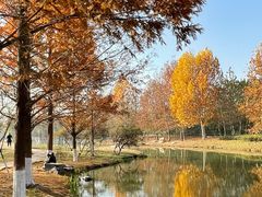 -西安浐灞国家湿地公园