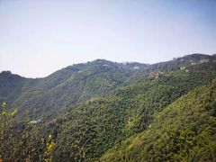 -莫干山风景区