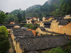 -杨家堂村