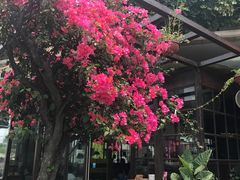 -听香·678茶铺(猛追湾店)