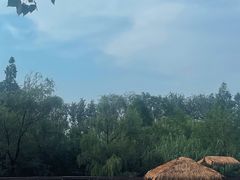 -溱湖国家湿地公园