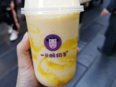 -一只酸奶牛(八一路店)