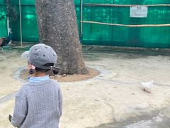 -史努比缤纷世界