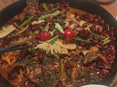 -老板恋上鱼(恒隆广场店)