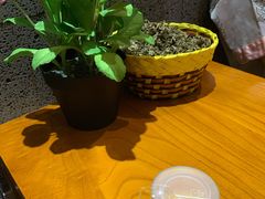 -嘉慧女子水汇
