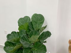 -Miette制菓所