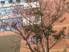 -广西建设职业技术学院(相思湖校区)