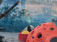 -鄂尔多斯野生动物园