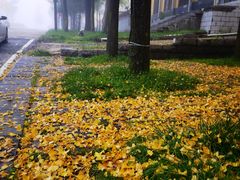 -洛阳白云山景区