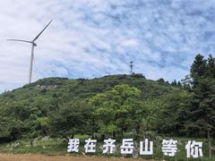 -齐岳山