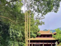 -深圳仙湖植物园