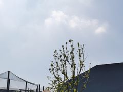 -武汉动物园