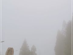 -大围山国家森林公园