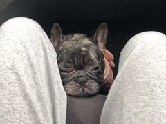 -武汉世外桃源农庄