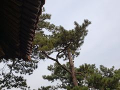 -普陀宗乘之庙(小布达拉宫)