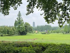-宜兴龙背山森林公园