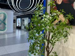 -天真蓝照相馆(五角场百联又一城店)