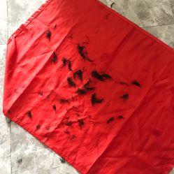 -龙文宝贝上门婴儿理发满月剃胎毛(黄浦店)