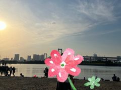 -台场海滨公园船码头