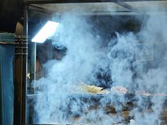 -皇粮浜湿地公园