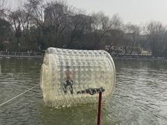-莲湖公园