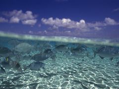 -亚龙湾海底世界