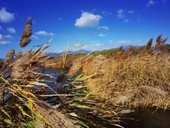 -野鸭湖国家湿地公园