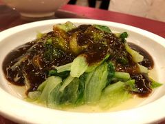蚝油生菜-扬州饭店(东关街店)