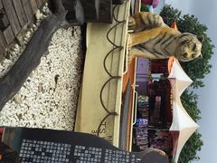 iphone_upload_pic-白沙湾海滩