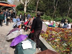 -人民公园-相亲角